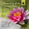 Tranquility of the Lotus Flower - Chinese Meditation, Peaceful Moments of Worship, Spiritual Awakening, Reiki, Yoga Music album lyrics, reviews, download