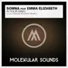 In Your Arms (feat. Emma Elizabeth) album lyrics, reviews, download