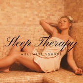Sleep Therapy - Wellness Sounds of Nature Background, Ambient Zen Music to Rest & Calm Down, Relaxing Spa artwork