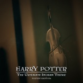 Harry Potter (The Ultimate Indian Theme) artwork