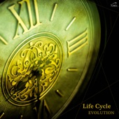 Life Cycle - Evolution artwork