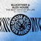 The Best Days of My Life (E.M.C.K. Radio Edit) - Bluckther & Alex House lyrics