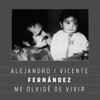 Me Olvidé de Vivir (feat. Vicente Fernández) - Single, 2013