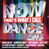 Now That's What I Call Dance 2013 artwork