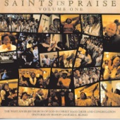 Saints In Praise, Vol. 1 artwork