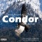 Condor - David Angelux & DiexD, David Angelux & DiexD lyrics
