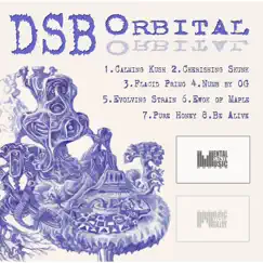 Orbital by DSB album reviews, ratings, credits