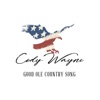 Good Ole Country Song - Single, 2018