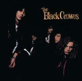 The Black Crowes - Struttin' Blues