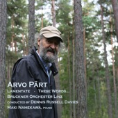 Arvo Pärt: Lamentate - These Words... artwork
