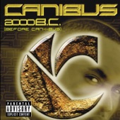 2000 B.C. (Before Can-I-Bus) artwork