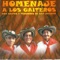 Sabor a Gaita - Gaitas y Tambores lyrics