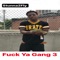 Fuck Ya Gang 3 (Jimmy Wopo Diss) - Stunna2fly lyrics