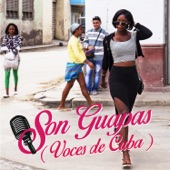 Son Guapas (Voces de Cuba) artwork