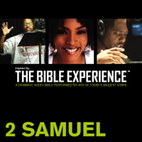 Zondervan - Inspired By … The Bible Experience Audio Bible - Today's New International Version, TNIV: (09) 2 Samuel artwork