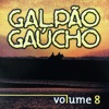 Galpão Gaúcho, Vol. 8