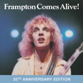 Peter Frampton - Penny For Your Thoughts