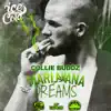 Marijuana Dreams - Single album lyrics, reviews, download