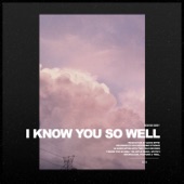 I Know You So Well artwork