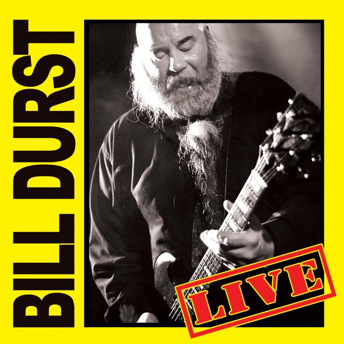 Рок flac. Билл Дурст. Bill Durst Википедия. Bill Durst - Wandering Blues (Live). Blue Bills обложка.