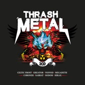 Thrash Metal artwork