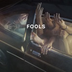 Fools by James Supercave