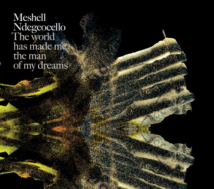 Comfort Woman By Meshell Ndegeocello On Apple Music