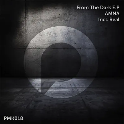 From the Dark - EP - Amna