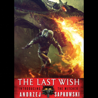 Andrzej Sapkowski - The Last Wish artwork