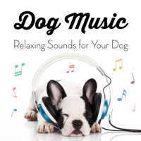Dog Music, Dog Music Experience & Music for Dog's Ears - Music for Dogs: Relaxing Sounds for Your Dog artwork
