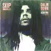 Calm Down (Acoustic) - Single album lyrics, reviews, download