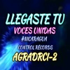 Llegaste Tú - Single