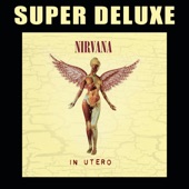 In Utero (20th Anniversary Super Deluxe) artwork