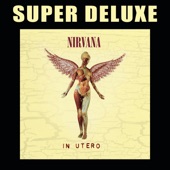 Nirvana - Heart Shaped Box (Live)