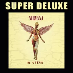 In Utero (20th Anniversary Super Deluxe) - Nirvana