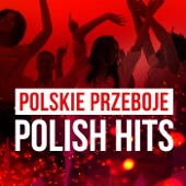 Polskie Przeboje: Polish Hits artwork