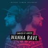 Wanna Rave - Single