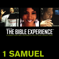 Zondervan - Inspired By … The Bible Experience Audio Bible - Today's New International Version, TNIV: (08) 1 Samuel artwork