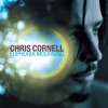 Chris Cornell - Can't Change Me