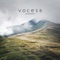 I Was Born for This (Arr. Lawson) - VOCES8, Thomas Gould, Matthew Sharp, Eleanor Turner & Abigail Burrows lyrics