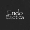 Stream & download Exotica - Single