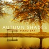 Piano Bar Collection - Old Songs