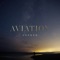 Seeker (feat. Andrew Raboin & Bethany Costello) - Aviation lyrics