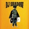 Keep Em Close (feat. Nump) - DJ Shadow lyrics