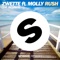 Rush (feat. Molly) [AirDice Remix] - Zwette lyrics