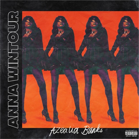 Cover artwork for Anna Wintour