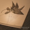에코딜리스 - 만약에 말야