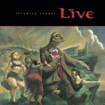 Live - Lightning Crashes