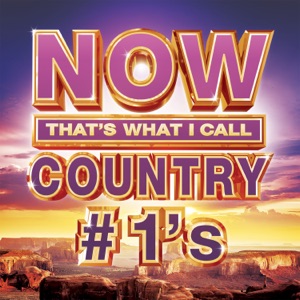 NOW That's What I Call Country #1s