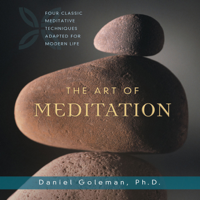 Daniel Goleman - The Art of Meditation artwork